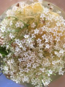 Fleurs de sureau en boisson recette naturo Isabelle Schillig