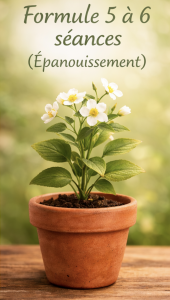 Naturopathe épanouissement, pot de fleur avec un plante qui fleurit et qui est épanouie.